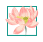 童心表愛(ài)意，感恩母親節(jié)——海口市山高幼兒園2025年母親節(jié)系列活動(dòng)-圖片12