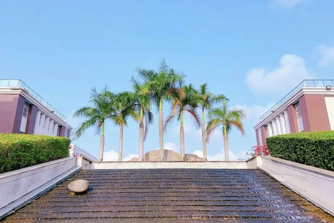 悅伴成長  家長學(xué)堂  |  ?？谏礁咧袑W(xué)優(yōu)秀家長育子心得分享（第53期）-圖片8